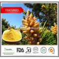 Top quality Food grade Cell wall broken Pine pollen powder, Pure Pine pollen